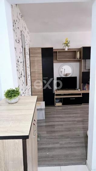 Apartament 2 camere Craiovei