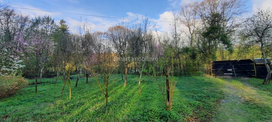 Cabana 4 camere zona Valea Avrigului - 24