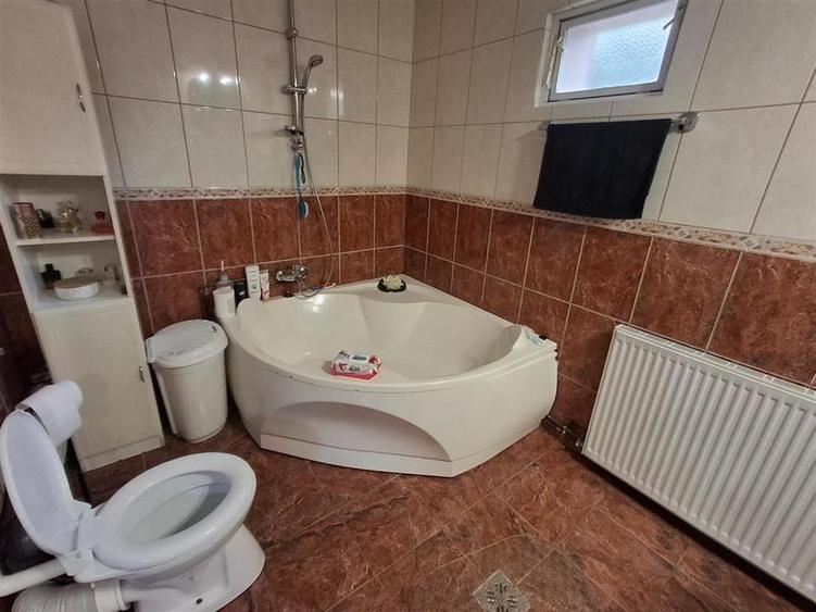 Casa formata din 2 apartamente pivnita zona Turnisor