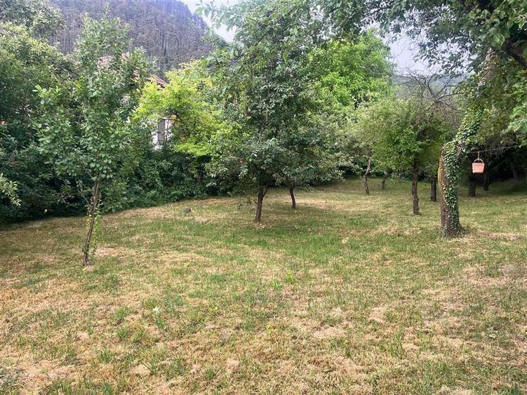 TEREN 1600MP CU CASA 5 CAMERE, SCHEII BRASOVULUI