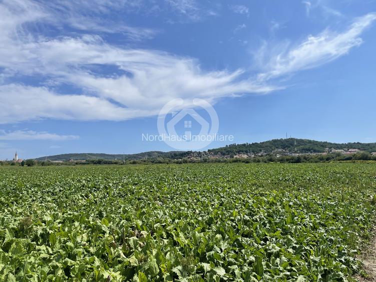 Teren intravilan Medias | 13700 mp | Deschidere 242 ml la drum public - 3