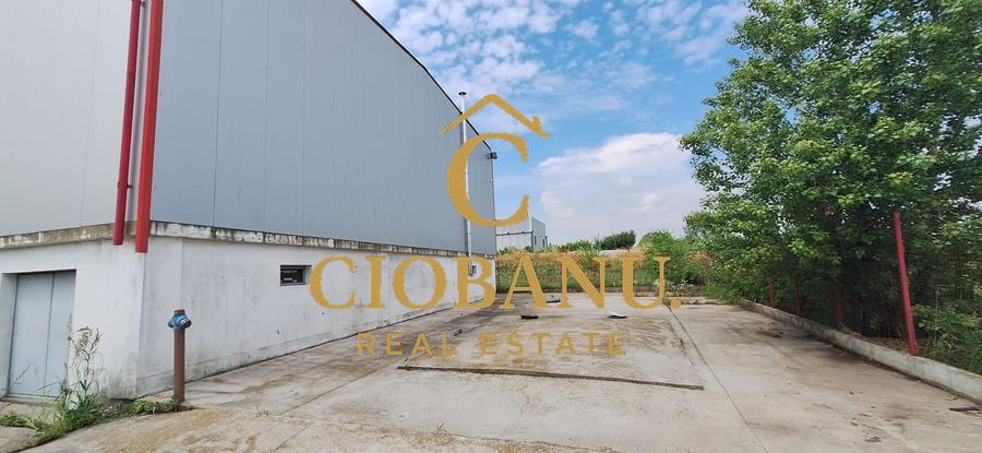 Hală industrială de vânzare / închiriere – 1.120 mp | Pielesti