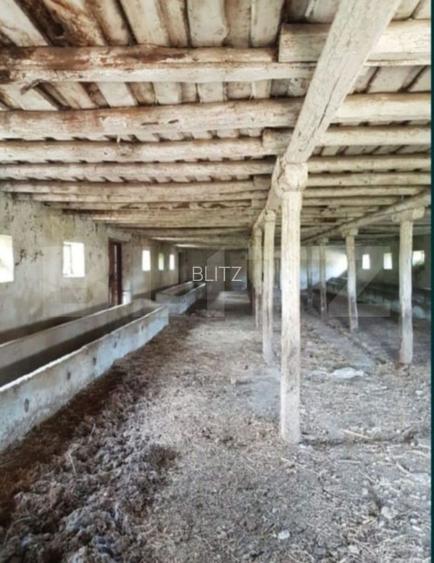 Hală zootehnică 651 mp pe teren 1.193 mp, Banpotoc – acces asfalt - 3