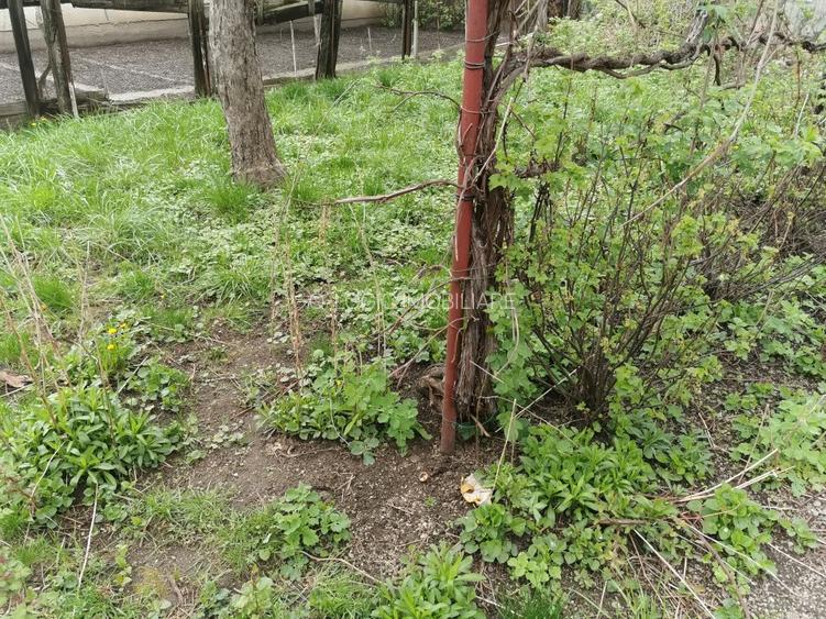Casa 3 camere libera la vanzare zona Avram Iancu - 14