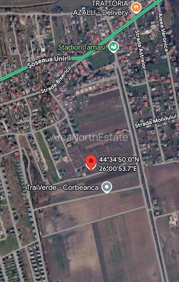 TEREN CORBEANCA-TAMASI - 2