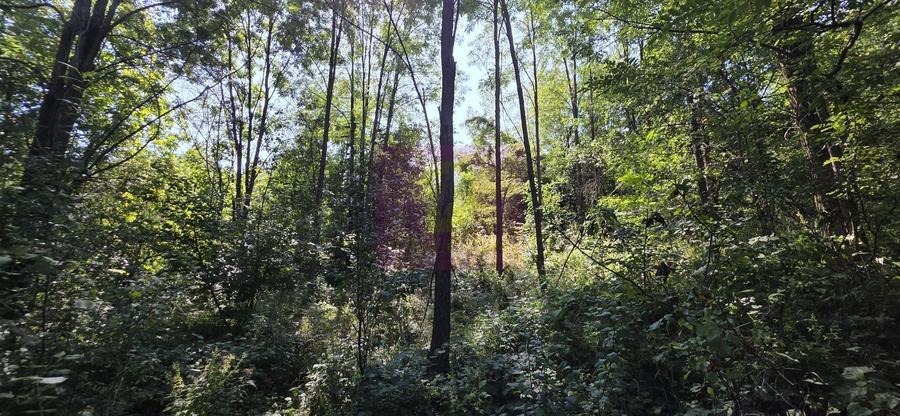 Teren intravilan de vanzare in Lunca Mare (la 10 km de Valea Doftanei)