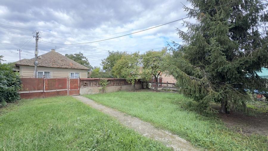 Casă 3 camere, Teren 3.263 mp, Str.Mărășești Nr.16 -Carei-Comision 0% cumpărător