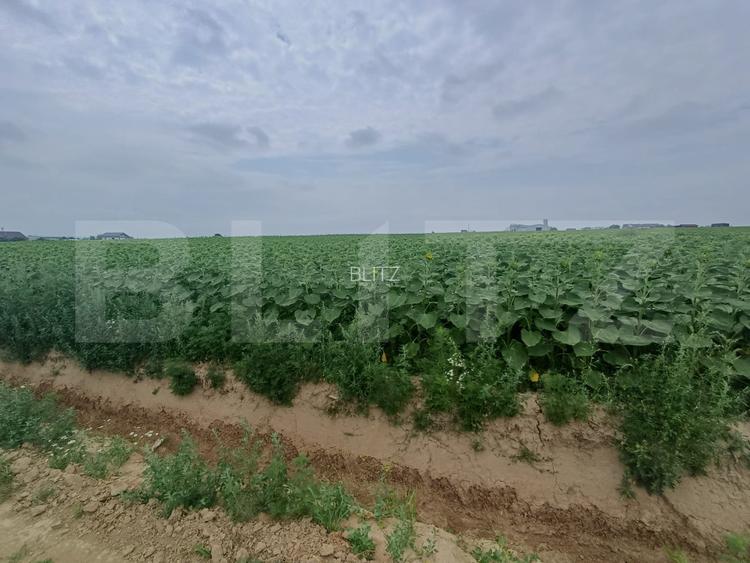 Teren intravilan de vanzare, parcelat, 11379 mp, Salcea - 2