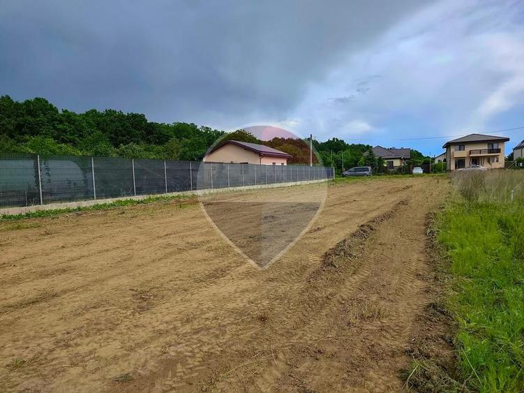 De vanzare Teren intravilan 1000 mp, langa padure, Moara Vlăsiei