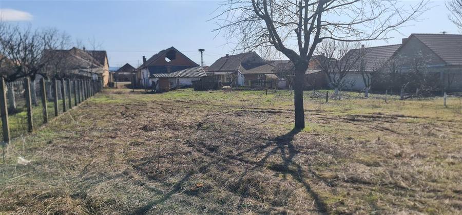 Teren 1270mp cu Casa in Santana, necesita amenajare/demolare