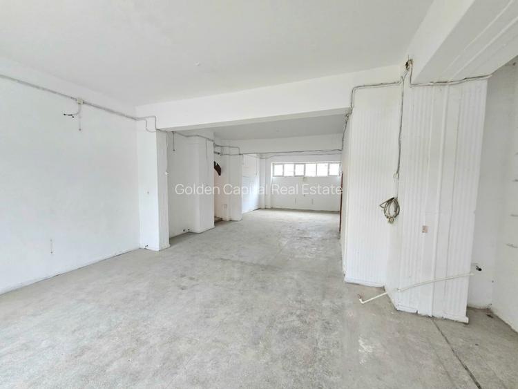Inchiriere Spațiu Comercial Vitrat, 118 mp Nicolina - Profi - 3