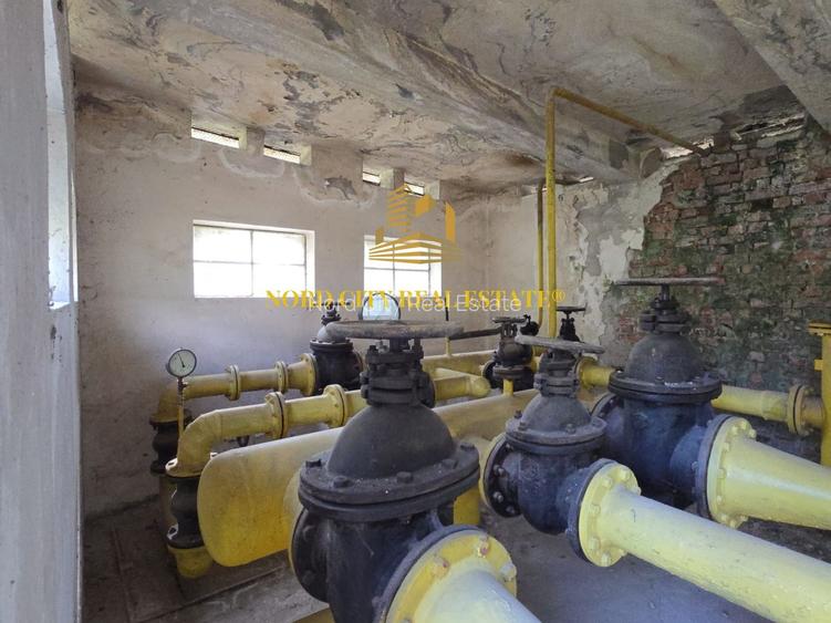 Platforma Industriala-8 ha -Fabrica-Hale Productie-21.500 mp - 21
