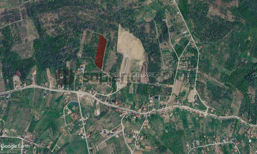 Sapient | Teren intravilan în Săldăbagiu de Munte 4.316 mp - 6