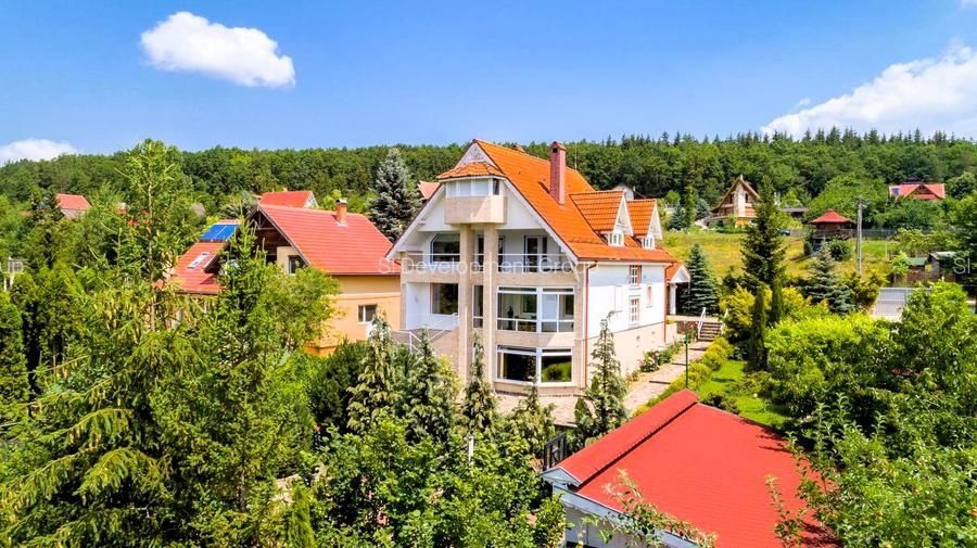 Proprietate unică pe malul lacului Moacșa – liniște, rafinament, eleganta - 4