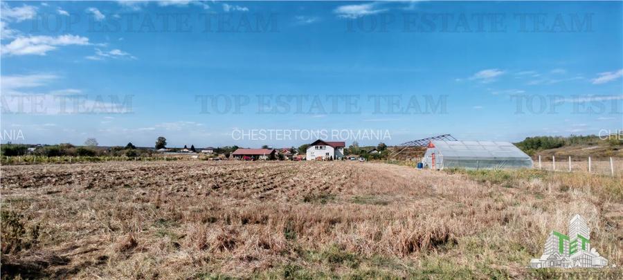 Ferma 3,3ha, din care 2,5ha intravilan, vila 7 camere, D+P+E+M, casa pentru munc - 9