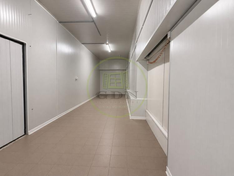 Hala Productie, 1522 mp, Cartier Rovine, zona Lidl