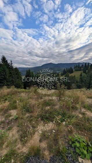 Parcele teren intravilan cu utilitati-panoramic-Colibita - 4