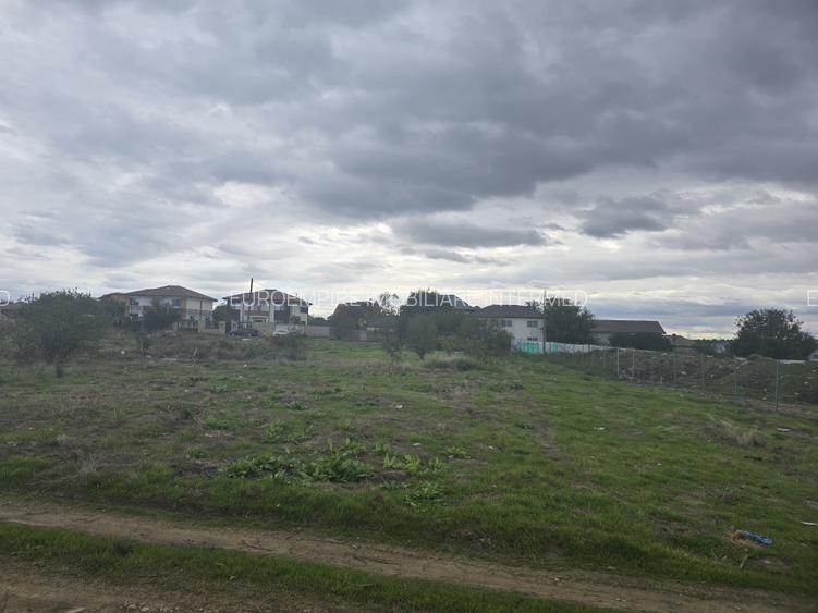 Teren de vanzare in Palazu Mare - 5