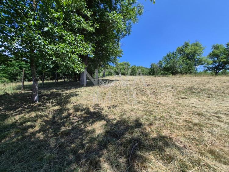 Casa individuala cu teren generos – 8.356 mp – Tichindeal, jud. Sibiu - 46
