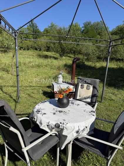 Casă de vânzare in natura la tara - Mihaesti - 27