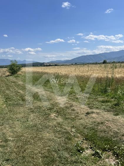 Teren 720 mp Seviș | 23 m front | Oportunitate investiție 24.480€ - 2