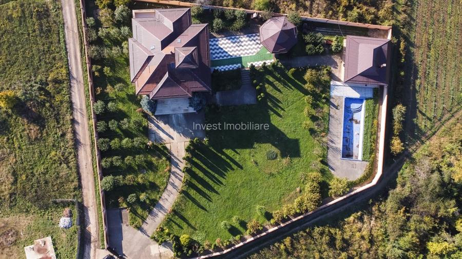 Proprietate Unică de Vânzare în Vișani, Iași – Reședință și Investiție Turistică - 3