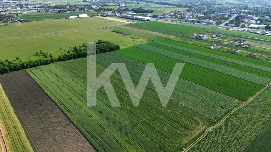 Teren intravilan 17.240 mp Stupini, str. Baciului-Luncii