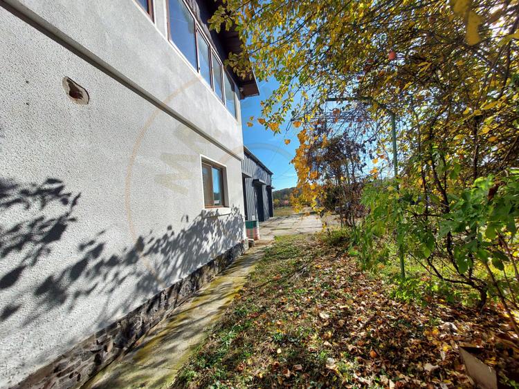 De închiriat: Hale si locuință pe 3 000 mp/ Bascov - Argeș