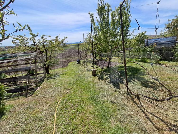 Nazna | Casă + 2900 mp teren