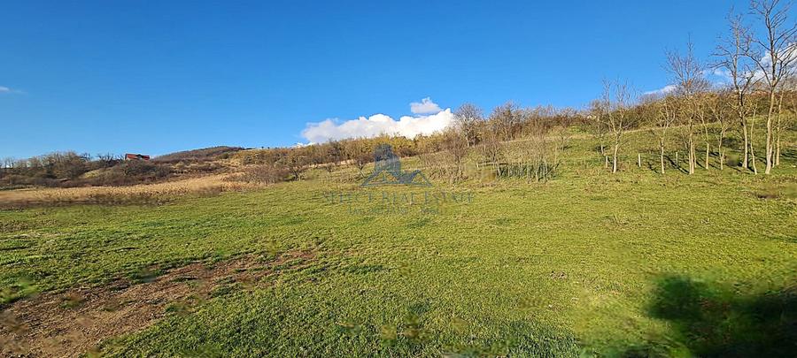 Teren intravilan 2500 mp \Sibiu \Sura Mare