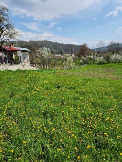 Teren vanzare in comuna Adunati - zona BREAZA - Prahova