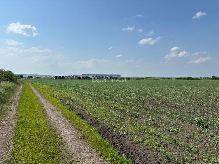 Teren 13.500 mp pentru dezvoltare in Sura Mica / jud. Sibiu - 5