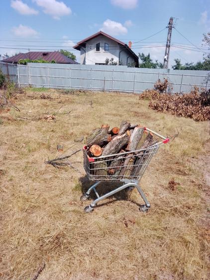 Teren intravilan – 939 mp, Tagsoru Nou