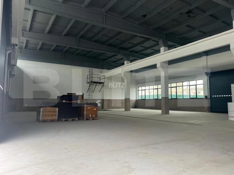 Ansamblu industrial- hala de productie, 7507 mp, zona Exterior Sud - 4