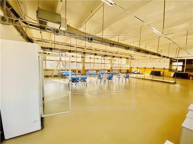 Spatiu industrial si de birouri in zona Terezian - finisaje moderne