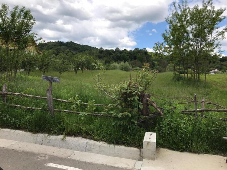 Teren intravilan Valea Lunga Cricov, jud Dambovita