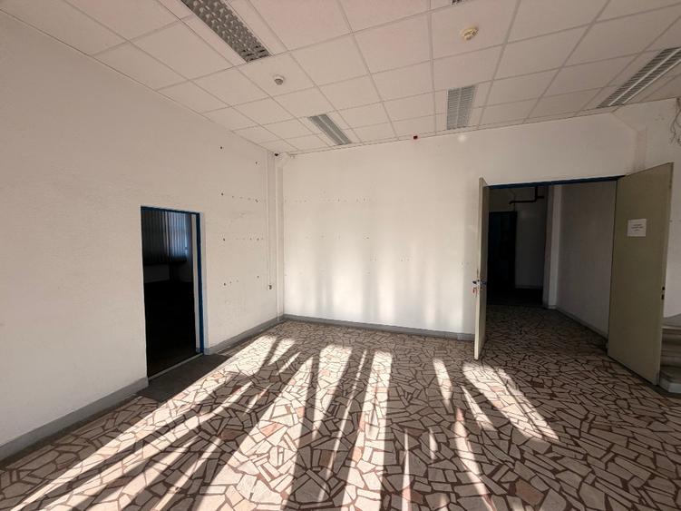 Spații pentru producție de închiriat | 706,63 m²/nivel | Curtea de Argeș