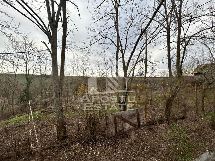 Teren 3920 mp, de vanzare, ideal casa de vacanta, Herneacova.