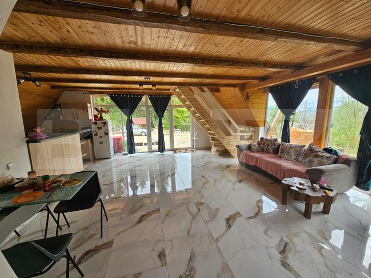 Cabană autentică cu 4565 mp teren, Liniste si Confort, Avram Iancu - 2
