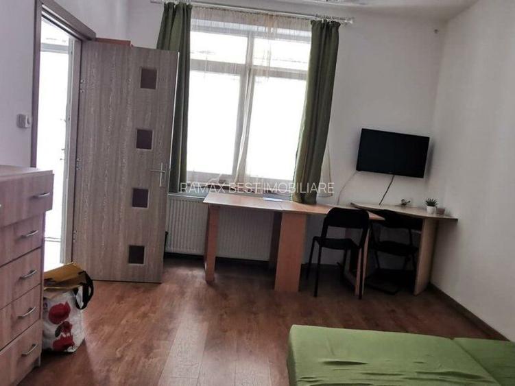 Apartament 1 camera Pet Friendly Calea Motilor - 2