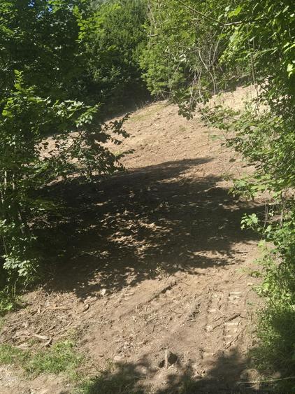 Teren Valea Doftanei, zona Pe Vale - Baraj Paltinu