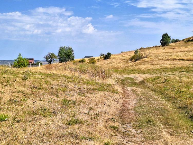 Teren de vanzare 1.257 mp Gura Râului-Zona Mărâjdiei -Investiție!
