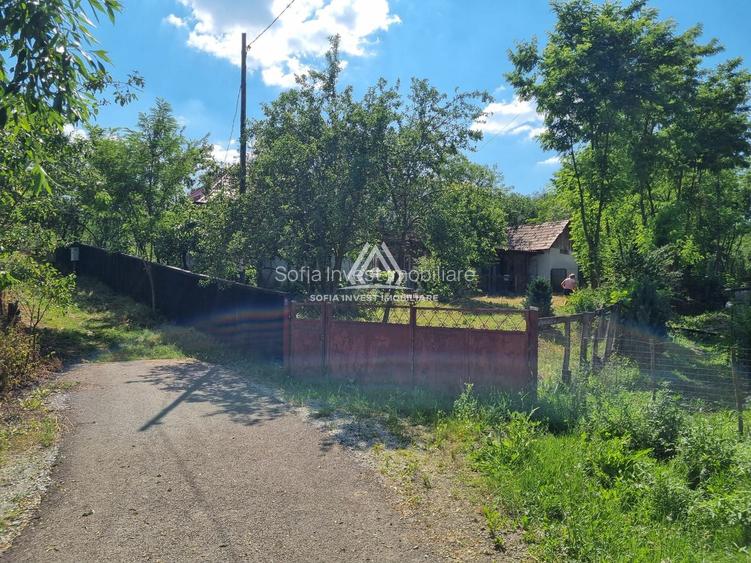 CASĂ LA ȚARĂ, SÂMBOLENI, COMUNA CAMARAȘU - 21