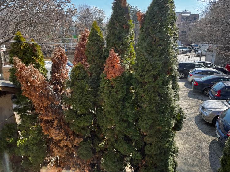 Teren perfect pentru constructie bloc.