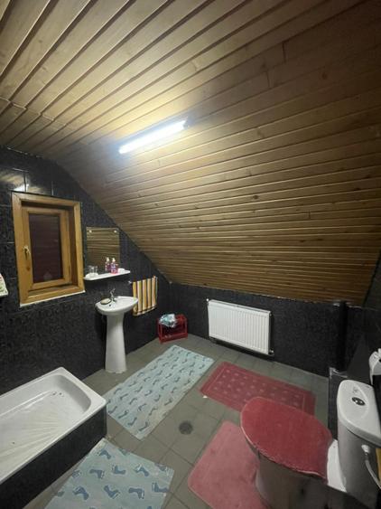 Oportunitate! Casa P+1 deosebita, 223mp, teren 2544mp, Cicarlau