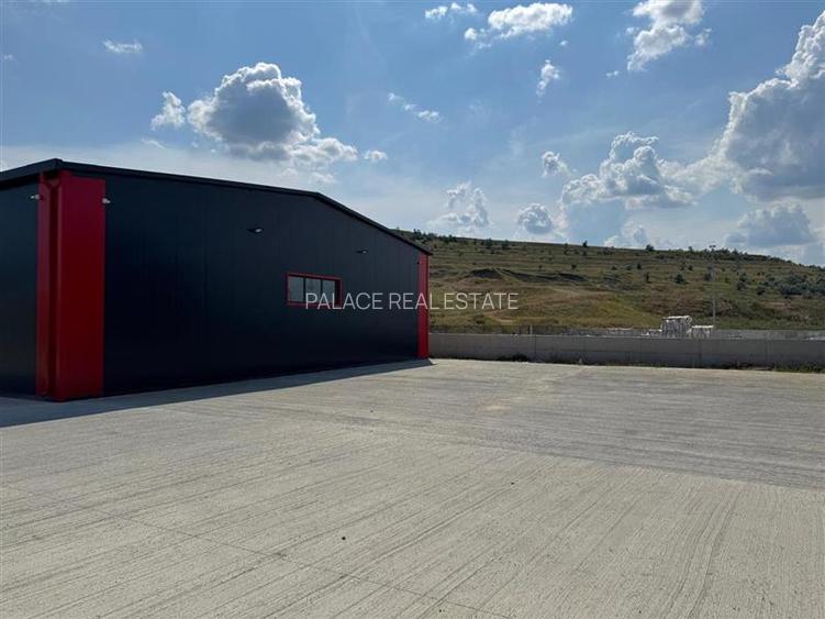 Parc Logistic in Miroslava alcătuit din 5 hale - 7