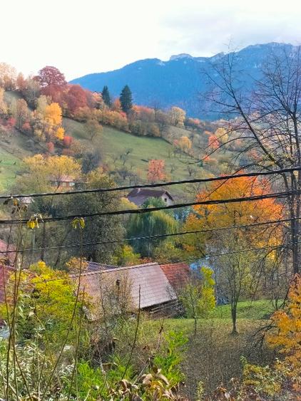 Oportunitate.Casă de locuit/casă de vacanță Bran Poarta