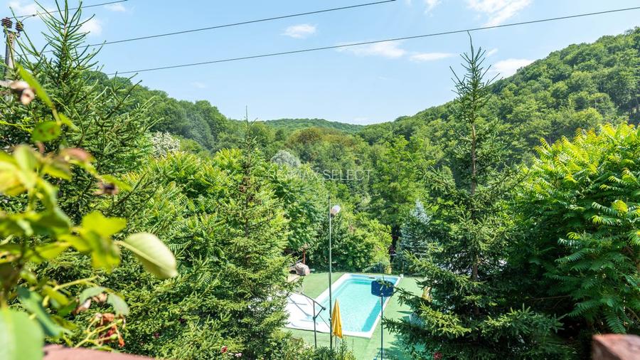 Vanzare vila-pensiune D+P+M 10 camere de vânzare, Daesti jud. Valcea - 60
