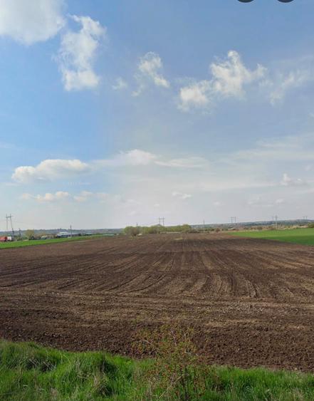 Teren intravilan de vânzare – 33.700 mp Gorneni, com. Iepuresti, Giurgiu