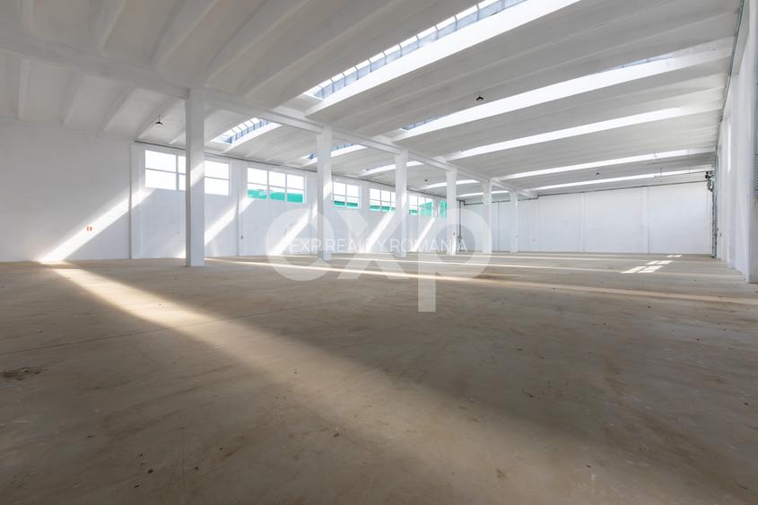 Hală industrială de închiriat – 1.002 mp utili | Calea Moinești | Acces TIR - 7